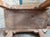 19th Century Chinese Distressed Elm Wood Side Table or Stool For Sale - Image 14 of 16