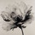 A striking black-and-white botanical study reproduced from an original ink drawing created in 1980. The artwork presents a...