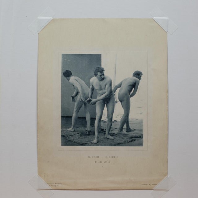 19th C. Max Koch & Otto Rieth Nude Collotype Photographs c.1894 For Sale - Image 4 of 11