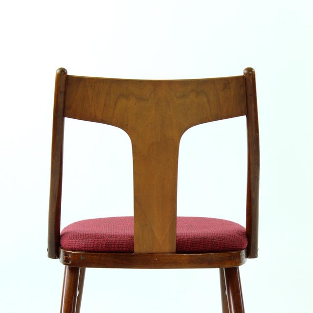 Dining Chairs in Wood and Pink from Tatra, 1960s, Set of 4 For Sale - Image 4 of 13