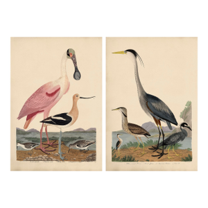Wilson Bird Set of Blue Heron and Pink Spoonbill at 13x19 Inches