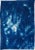 Botanical Cyanotype With Abstract Cloudy Shades,Photogram Made on Watercolor Paper, Deep Range of Blues, 50xx70cm For Sale