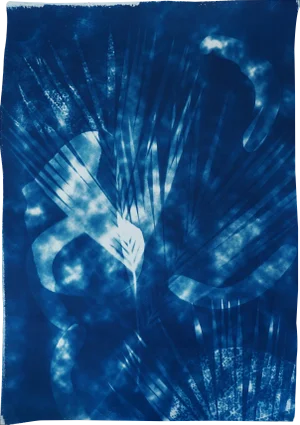 Botanical Cyanotype With Abstract Cloudy Shades,Photogram Made on Watercolor Paper, Deep Range of Blues, 50xx70cm