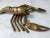 Brass Vintage Solid Brass Crustacean Lobster Paper Weight Coastal Décor For Sale - Image 8 of 12