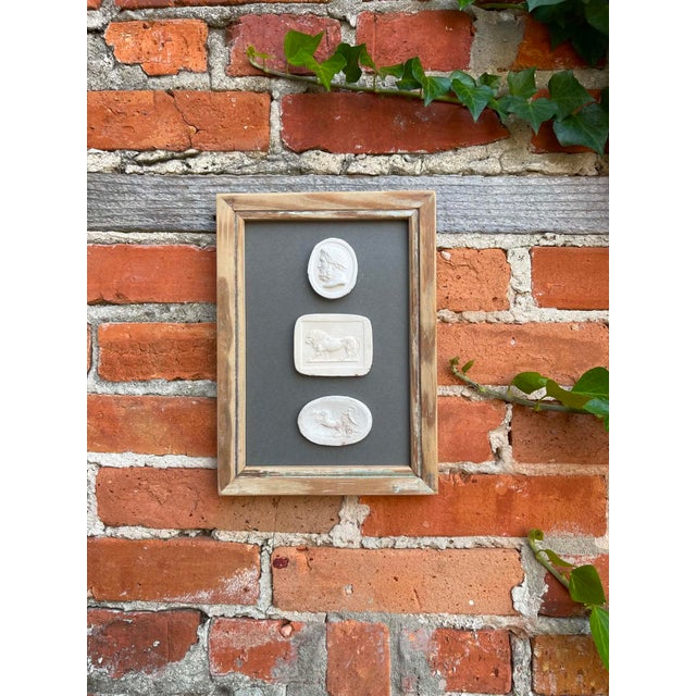 Italian Plaster Intaglios in 1880s Pine Frame For Sale - Image 6 of 8