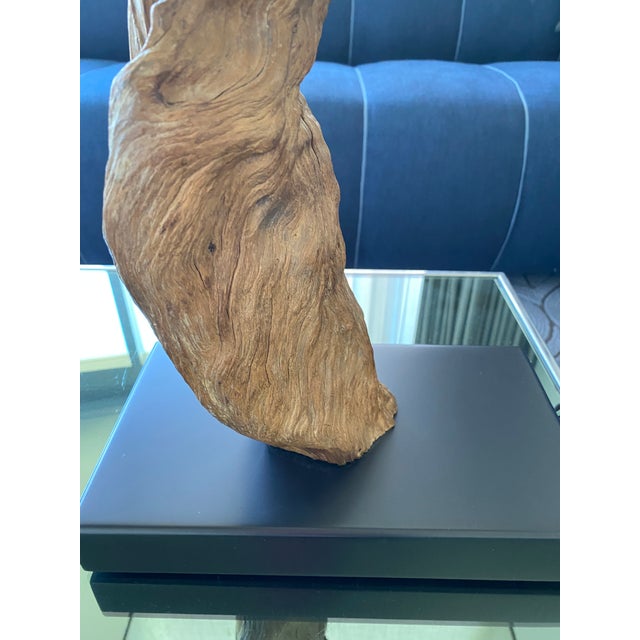 Vintage 1960s Driftwood Lamps (Pair) For Sale In San Francisco - Image 6 of 12