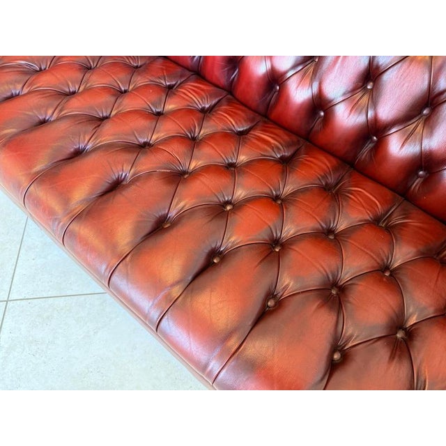 Oxblood Red Chesterfield 3-Seater Club Sofa For Sale - Image 13 of 15