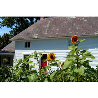 "Sunflowers and Red Door" Photograph For Sale