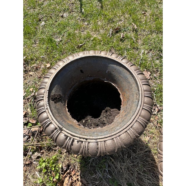Metal Late 20th Century Shallow Form English Cast Iron Urns - A Pair For Sale - Image 7 of 10