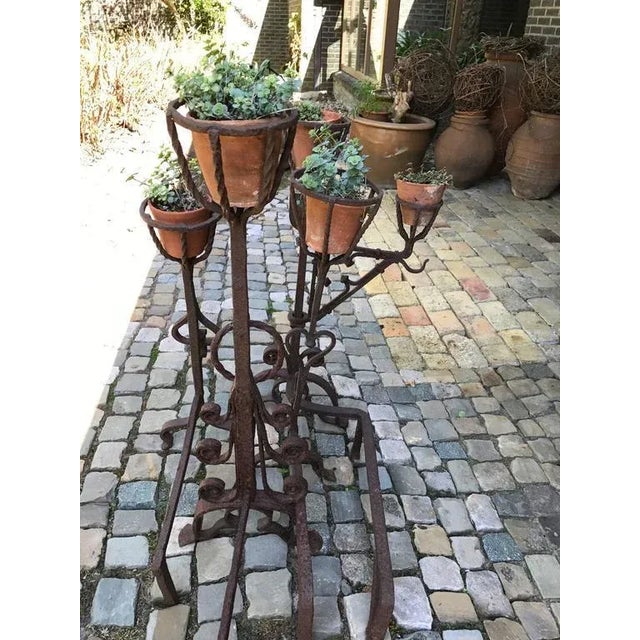 Mid 19th Century 19th Century Spots Andirons Fireplace Master Models, 1865, Set of 4 For Sale - Image 5 of 7