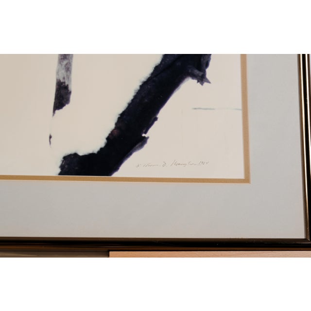 1984 Thomas D. Mangelsen "American Kestrels" Hand Signed and Numbered Limited Edition 138/850 Framed & Matted Color Photograph For Sale - Image 4 of 5
