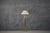 Vintage Floor Brass Lamp with Fabric Lampshade, Italy, 1970s For Sale - Image 6 of 6