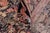 Textile 1990's Abusson Pak-Persian Black/Black Wool Rug - 10'1'' X 13'7'' For Sale - Image 7 of 9