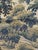 Vintage French Aubusson Style Jacquard Halluin Tapestry, 1960s For Sale - Image 17 of 18