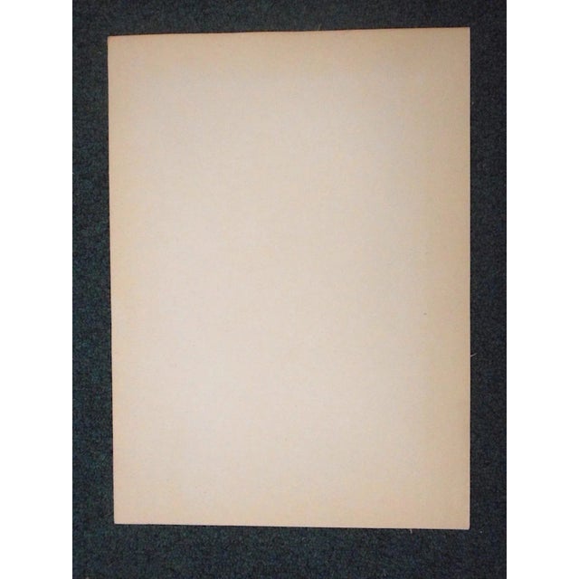 Modern Vintage Ltd. Ed. Post-Impressionist Lithograph-Vincent Van Gogh (Fr. 1853-'90) For Sale - Image 3 of 8