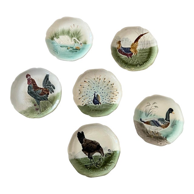 19th Century Choisy Le Roi Majolica Bird Plates -Set of 6 Authentic Antique Plates For Sale