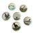 19th Century Choisy Le Roi Majolica Bird Plates -Set of 6 Authentic Antique Plates For Sale