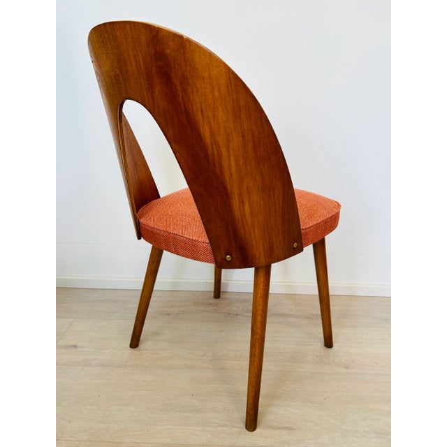 Wood Dining Chair by Antonín Šuman, Czechoslovakia, 1960s For Sale - Image 7 of 9
