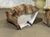 Napoleon III Style Toadstool Chairs, Set of 2 For Sale - Image 10 of 11
