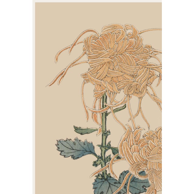 A beautifully restored reproduction of Keika hyakugiku, Plate 02 (1893) by Japanese artist Keika Hasegawa. Originally...