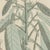 Bertuch, Venus Flytrap Carnivorous Plant, 1805, Print For Sale - Image 4 of 12