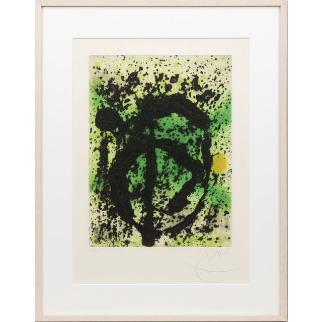 Joan Miró, Règne végétal (Plant Kingdom), 1981, Aquatint For Sale - Image 7 of 7