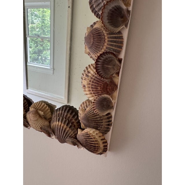 Mid 20th Century Vintage Scallop Shell Wall Mirror For Sale - Image 5 of 9