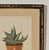 Set of Four Botanicals, 19th Century or Earlier For Sale In San Francisco - Image 6 of 18