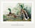 Mallard Duck, Vintage Art Print Reproduction From Birds of America by John James Audubon, 40" X 60" For Sale In Buffalo - Image 6 of 11