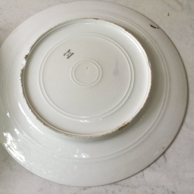 Limoges, France Early 20th Century French Porcelain Oranges & Cherries Plate Limoges For Sale - Image 4 of 5