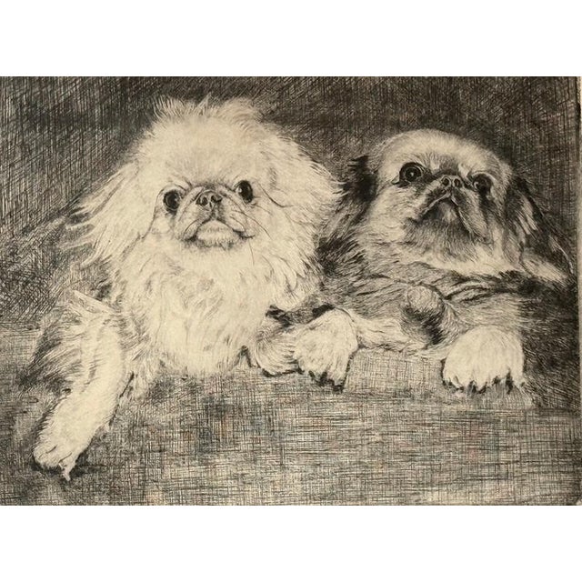 Figurative Don Swann ( 1889-1954 Us) Signed "Pekingese" Etching #48/250 LTD Ed Print Framed For Sale - Image 3 of 9