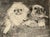 Figurative Don Swann ( 1889-1954 Us) Signed "Pekingese" Etching #48/250 LTD Ed Print Framed For Sale - Image 3 of 9