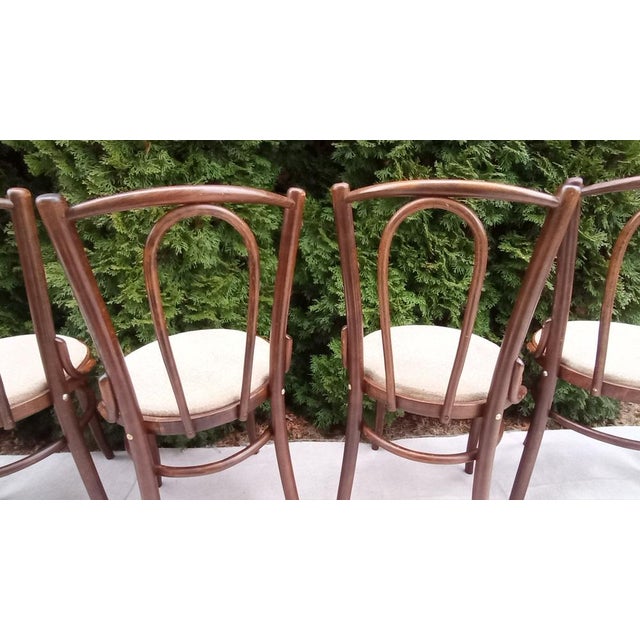 Brown Chairs in Beech Bentwood from Tatra, 1960s, Set of 6 For Sale - Image 8 of 15