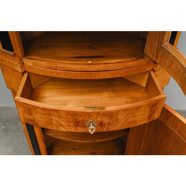 19th Century Biedermeier Corner Display Cabinet For Sale - Image 16 of 18