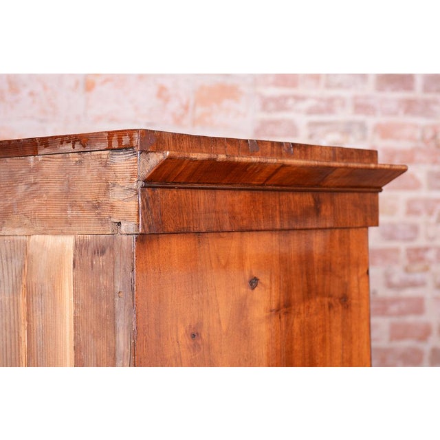 Biedermeier Cabinet in Walnut, Austria, 1830s For Sale - Image 9 of 18