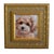2020s Maltipoo Puppy Dog Pet Portrait Painting Including Antiqued Museum Quality Gold Frame For Sale - Image 5 of 7