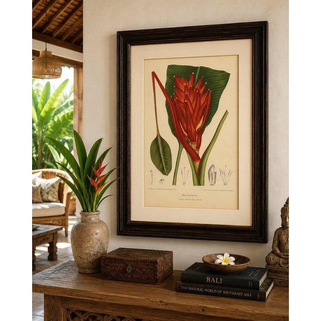 Gold Sheep van Nooten, Red Heliconia Botanical, 1880, Chromolithograph For Sale - Image 8 of 9