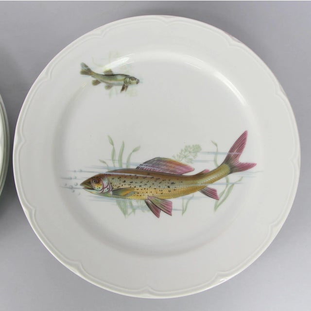 Porcelain Fish Dishes and Tray Set, 1960s, Set of 7, in Flawless conditions. Designed 1960 to 1969 This piece has an...