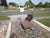 Vintage Castro Convertible Coffee Dining Table | Chairish