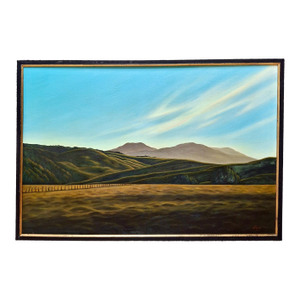 The Wide Open Spaces