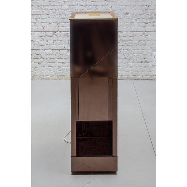 Smoked Mirrored Illuminated Planter attributed to Belgo Chrome, 1970s For Sale - Image 4 of 15