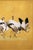 Japanese Flock of Cranes by Ishida Yūtei, Vintage Art Print Reproduction, 24" X 16" For Sale - Image 4 of 9