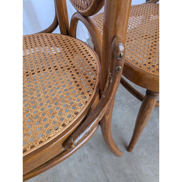 Mid-Century Bentwood Cane Dining Chair, Yugoslavia, 1970s, Set of 6 For Sale - Image 10 of 18
