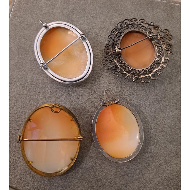 Early 20th Century Group of 4 High Relief Cameo Pins/Pendents Carved From Bull Mouth Shell For Sale - Image 5 of 6