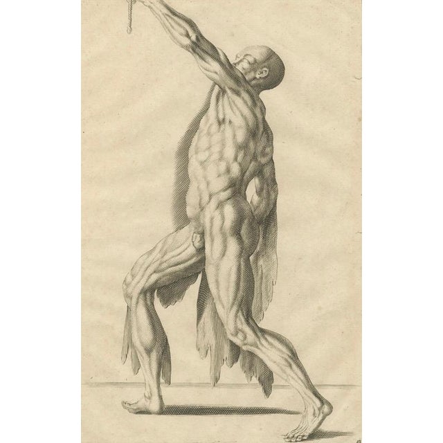 After Gérard de Lairesse, Anatomical Male Figure Reaching Upward, 1745, Paper For Sale - Image 6 of 10
