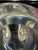 1960s 1960s Signed Steuben Crystal Eagle Sculpture — Large 13" Wingspan, Bird on Ball For Sale - Image 5 of 8