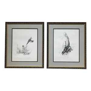Vintage Framed Bird Drawings by Jack Chandler, Set of 2