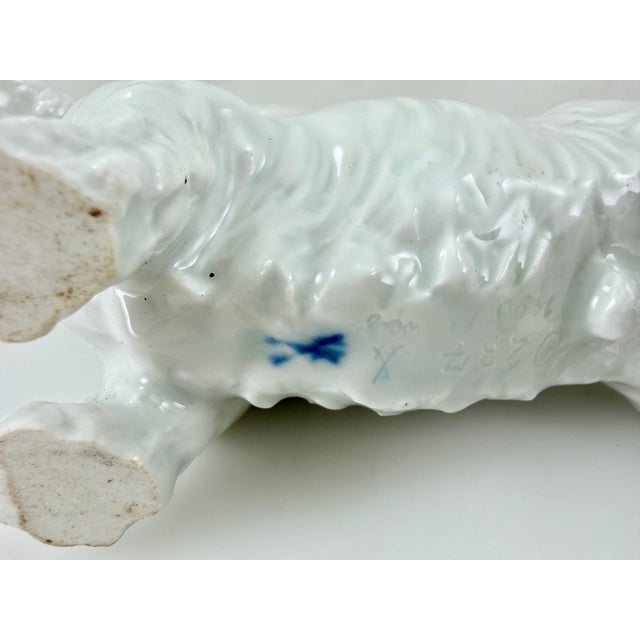 Meissen Blanc De Chine Porcelain Scottish Terrier For Sale - Image 9 of 9