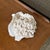 Vintage Natural Merulina White Coral Specimen For Sale - Image 4 of 13