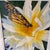 Signed original watercolor featuring a monarch butterfly resting on a blooming white and yellow dahlia, rendered in soft,...